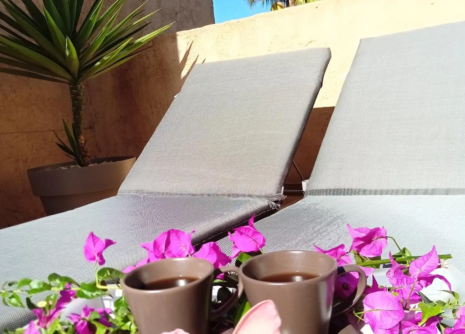 Attic Apartment In Vera Beach With Wifi And Air-Conditioning